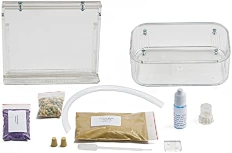 AntHouse - Natural Sand Ant Hill- Basic Kit | Sandwich (4.72 x 3.94 x 0.39 in) + Forage Box (7.09x 3.94 x 1.97 in) | Ant Farm - Image 2