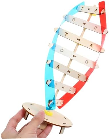 DIY DNA Double Helix Model Teaching Tool for Kids and Students - Image 3
