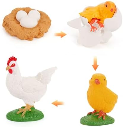 Montessori Animal Life Cycle Figurines by Unknown