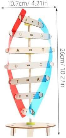 DNA Double Helix Model DIY Science Teaching Prop for Kids Students - Image 2