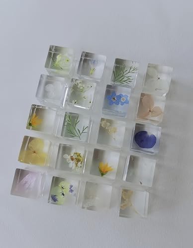12pcs Plant Specimens,Resin Squares, Decorations,Children's Science Education Supplies,Drip-Dried Resin Flower Specimens,Real Flower Specimens for Microscope (Colorful) - Image 3