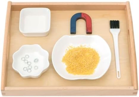Montessori Magnet Separation Exploration Work Tray Set by Unknown