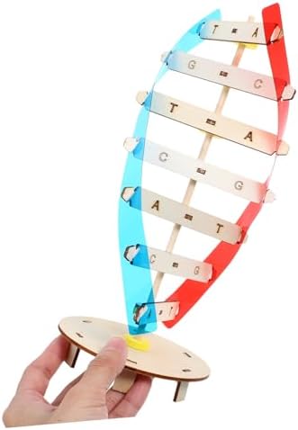 DIY DNA Double Helix Model Science Kit for Kids Students - Image 7