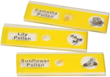 Prepared Microscope Slides for Kids – 12 Plastic Plant Specimens with Labels & Images – Safe, Durable Biology Science Kit for Students Ages 8+ - Image 5