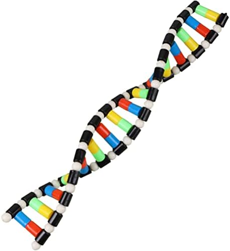 iplusmile DNA Double Helix Structure Models Kit Biological Science Popularization Teaching Aid for DNA Assembling, Educational Learning for School Student by iplusmile