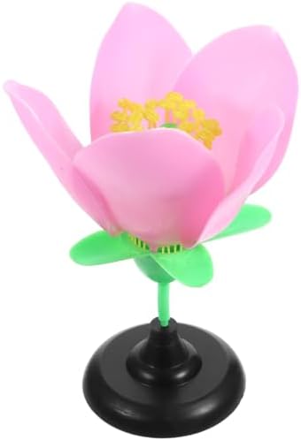 Peach Blossom Model Realistic PVC Biology Teaching Instrument by Abaodam
