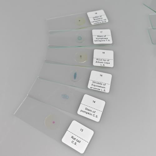 30 Pcs Microscope Slides Prepared Biology Specimen Lab Sample with Insects Plants Science Learning Home School - Image 6