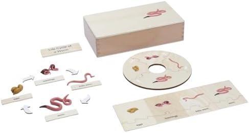 ancona Life Cycle- Worm, Spanish/Simplified Chinese with Pinyin Bilingual, Montessori Preschool Memory Matching Game Box Set with Animal Figurines & Matching Puzzle Cards, Early Education Toy by ancona
