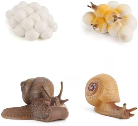 Montessori Animal Life Cycle Figurines by Unknown