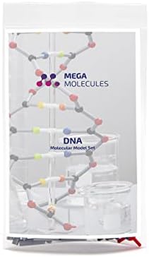 DNA Model Set by Mega+Molecules%2C+LLC