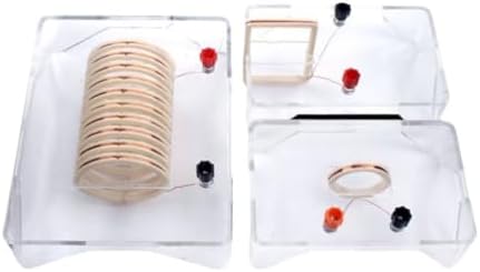 Solenoid Electromagnetism Experiment Kit, Current Magnetic Field Demonstrator, Physics Teaching Instrument, for Middle School, College Labs - Image 2