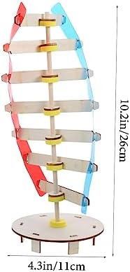 Gene DNA Double Helix Model Wood Plastic Science Teaching Aid - Image 2