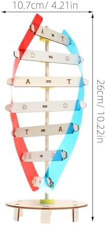 DNA Model Double Helix Science Teaching Kit for Kids and Students - Image 2
