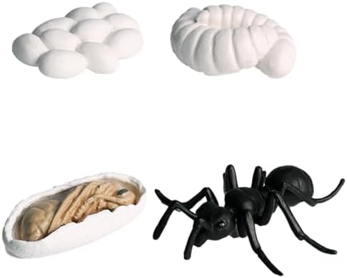 Life Cycleinsects Toys - 6Pcs Educational Figurine Set Ladyybuges - Image 7