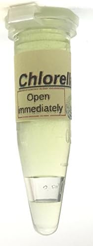Algae Research Supply Algae Culture Chlorella Vulgaris, Perfect for School Science Fairs/Projects, Experiments & Classrooms (1.7mL) by Algae+Research+and+Supply