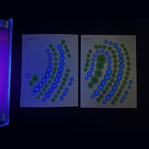 Edvotek 197 Precision & Proof: Forensic Biotechnology Skills Training, for 10 Lab Groups - Image 2