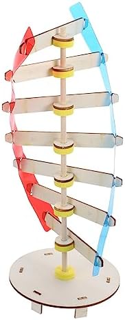 Gene DNA Double Helix Model Wood Plastic Science Teaching Aid by Toddmomy