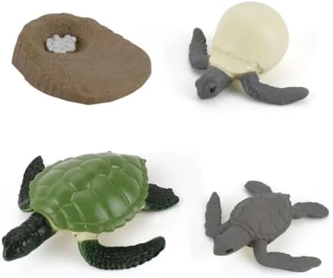 Montessori Animal Life Cycle Figurines by Unknown