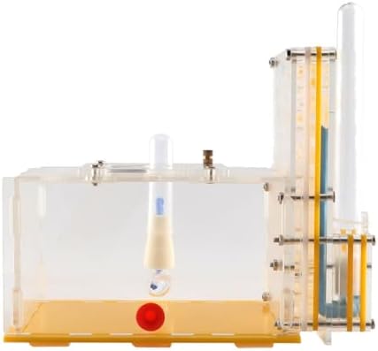 ANT Housing Nest Habitat Transparent Acrylic with Feeder ANT Farm Display Box for Gift Lovers Birthday Decor Children's Day, Yellow - Image 7