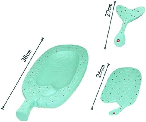 Plant Model Plant Anatomy Model Plant Embryo Development Process Model Biological Teaching Model Germ Structure for Biology Course - Image 2