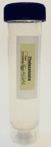 Algae Research Supply Algae Culture Thalassiosira Pseudonana, Perfect for School Science Fairs/Projects, Experiments & Classrooms (50mL) by Algae+Research+and+Supply