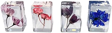 13pcs Ucubwfu Plant Specimen, Drip Resin Dried Flower Specimen, Real Flower Specimen for Microscope, Science Education Products for Kids - Image 6