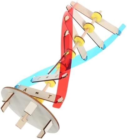 DNA Model Kit DIY Double Helix Educational Science Toy for Kids by HAKIDZEL
