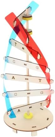 DNA Double Helix Model DIY Science Teaching Prop for Kids Students by KONTONTY