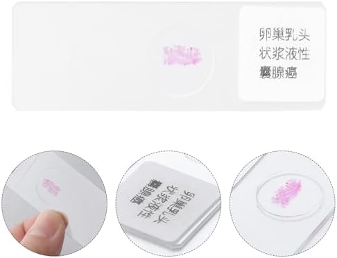 Prepared Microscope Slide Glass Specimen for Biology Observation - Image 7