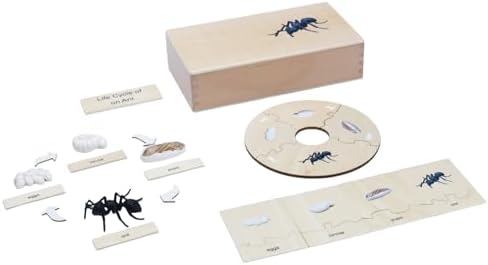 ancona Life Cycle- Ant, English Monolingual, Montessori Preschool Memory Matching Game Box Set with Animal Figurines & Matching Puzzle Cards, Early Education Toy by ancona