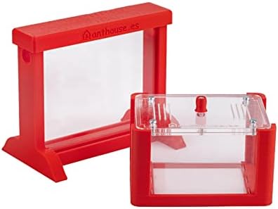 Anthouse - Basic Natural Sand Ant Farm - 3D Ant Terrarium - Acrylic Sandwich-Type - Foraging Box with Lid Included - Red Color - Image 5