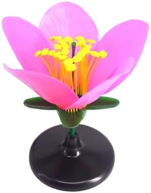 Classroom Ready Modular Peach Flower Structure Kits for Interactive Plant Biology Lessons and Experiments Biology Teaching for Students - Image 4