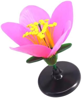 Classroom Ready Modular Peach Flower Structure Kits for Interactive Plant Biology Lessons and Experiments Biology Teaching for Students - Image 5