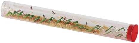Insect Lore 10-15 Live Pink Spotted Ladybug Larvae, Habitat Refill Kit - Image 7