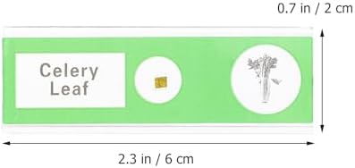 36pcs Prepared Microscope Slides for Boys and Girls Basic Biology Education - Image 2