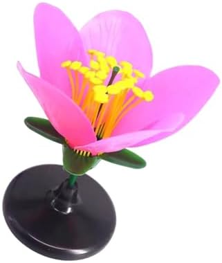Classroom Ready Modular Peach Flower Structure Kits for Interactive Plant Biology Lessons and Experiments Biology Teaching for Students - Image 7