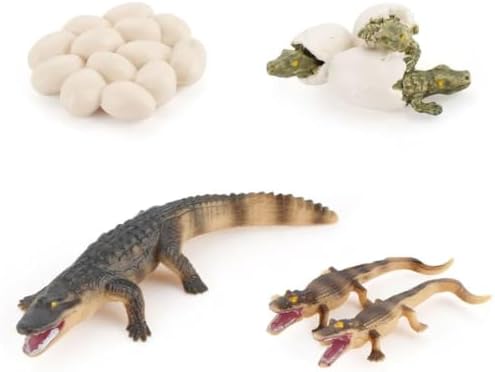 Montessori Animal Life Cycle Figurines by Unknown