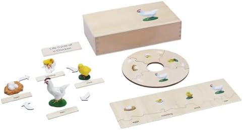 ancona Life Cycle- Chicken, Spanish/Simplified Chinese with Pinyin Bilingual, Montessori Preschool Memory Matching Game Box Set with Animal Figurines & Matching Puzzle Cards, Early Education Toy by ancona