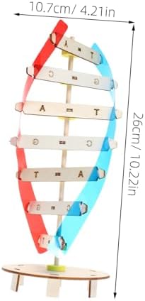 DNA Double Helix Model DIY Assembly Build Toy for Kids Students - Image 2