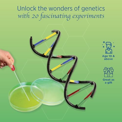 Thames & Kosmos Genetics & DNA Lab 10x2.5x11 inch - Image 3