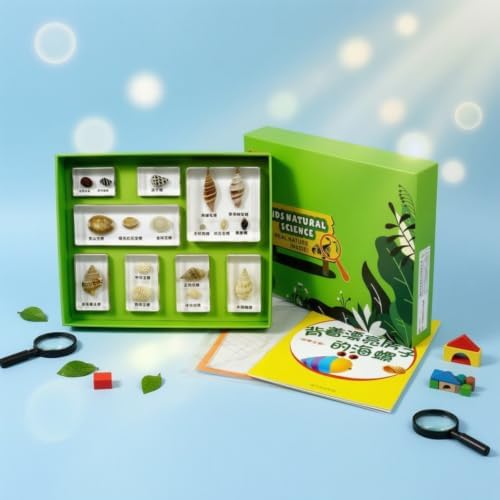 harayaa Children Learning Specime Biology Kit with Resin Sample Blocks Observation Tray Display Box Learning Cards Resin Build with Organized compartments, Delicious Nuts - Image 3