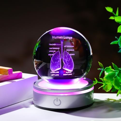 3D Human Lung Model Crystal Ball Doctor Gifts for Women Men, Laser Etched Glass Anatomical Lung Figurine Science Biology Surgeon Decor Graduation Gifts for Medical Student with LED Base - Image 3