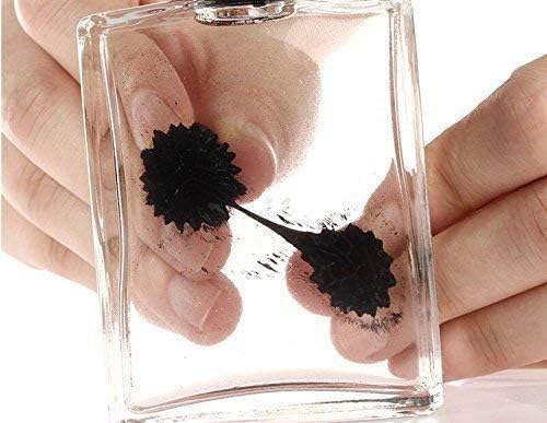 Ferrofluid Magnetic Display in a Bottle, Ferrofluid Magnetic Liquid Display Desk Toy, Magnetism Science Kits - Image 6
