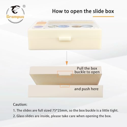 30 Prepared Microscope Slides with Specimens for Kids Students - Histology, for Biological Science Lab, Children's Science Education, Homeschooling Use - Image 7