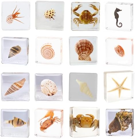 16-Pack Taxidermy Ocean Animal Specimens in Clear Resin Preserved by Aolowewin