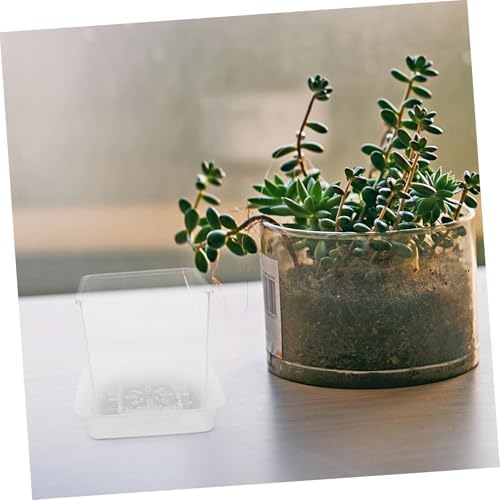 Nursery Pot with Drainage Holes, Plastic Planter for Seedlings - Image 6