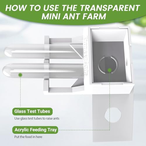 Transparent Mini Ant Farm with Dual Test Tubes for Thriving Ant Colony Observation - Image 3