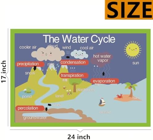 SANTSUN The Water Cycle Mind Mapping| Educational Posters for Kids(17x24in) - Image 2