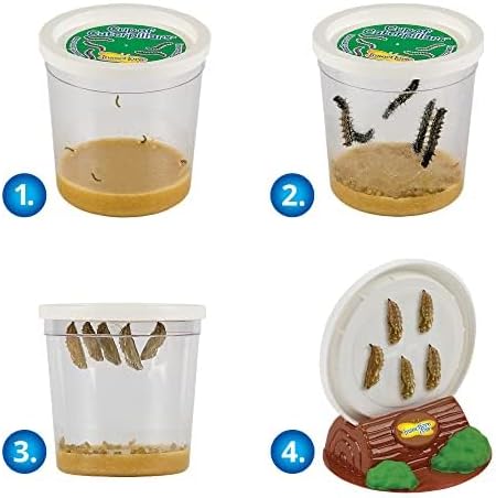 Insect Lore Butterfly Garden Experience | No Fee Prepaid Voucher | Redeem Raise and Release 5 Baby Painted Lady Caterpillars | Observation Habitat and All Supplies Included - Image 2