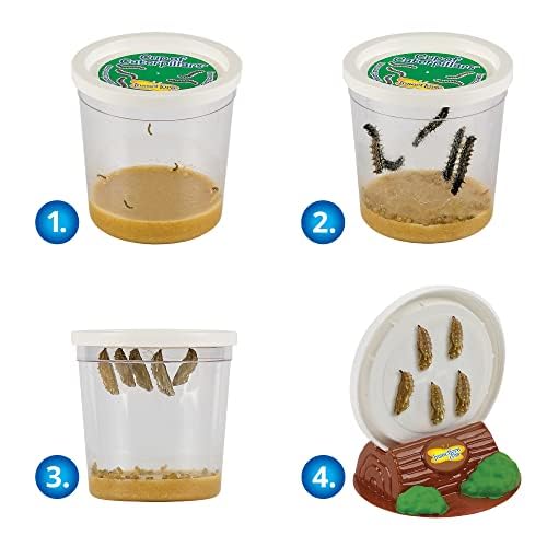 Insect Lore Butterfly Garden Kit – Live Caterpillar Habitat with Pre-Paid Voucher and Pop-Up Habitat– STEM-Accredited Butterfly Growing Kit for Kids, Classrooms, and Homeschool Learning